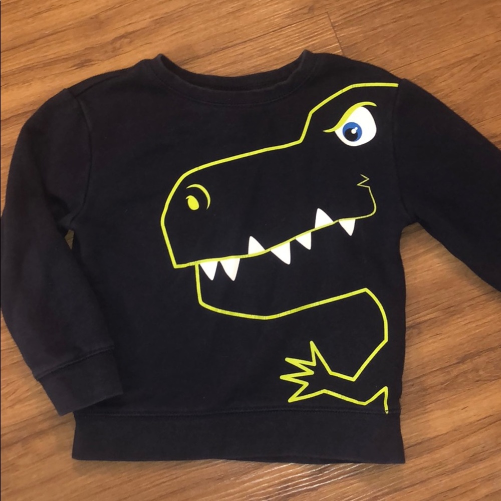 Dino Sweatshirt